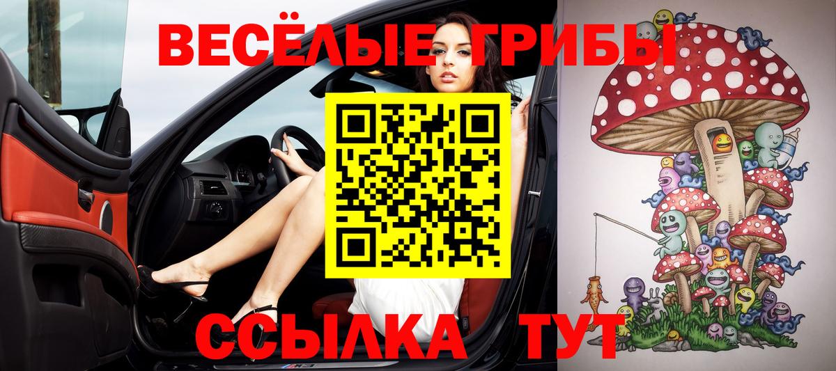 Псилоцибиновые грибы мухоморы  Псилоцибиновые грибы MAGIC MUSHROOMS  Вход с VPN  Грязи 